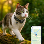 GPS-Katzenhalsband mit Sicherheitsverschluss und Glocke