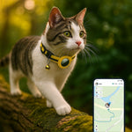 GPS-Katzenhalsband mit Sicherheitsverschluss und Glocke