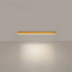 Scandinavian Style Flush Mount LED Ceiling Light Fixture