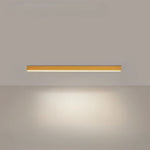 Scandinavian Style Flush Mount LED Ceiling Light Fixture