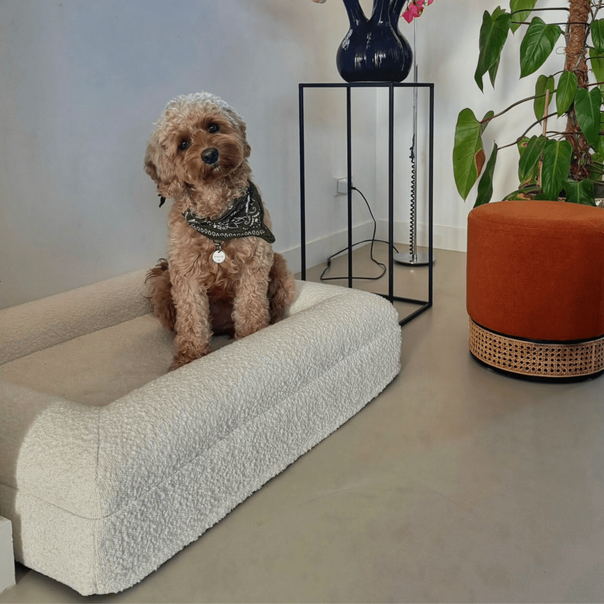Hunde-Kissen für ultimativen Komfort mit Memory-Schaum