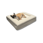 Hunde-Kissen für ultimativen Komfort mit Memory-Schaum