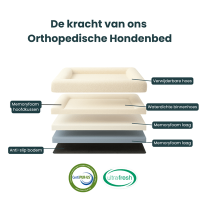 Hunde-Kissen für ultimativen Komfort mit Memory-Schaum