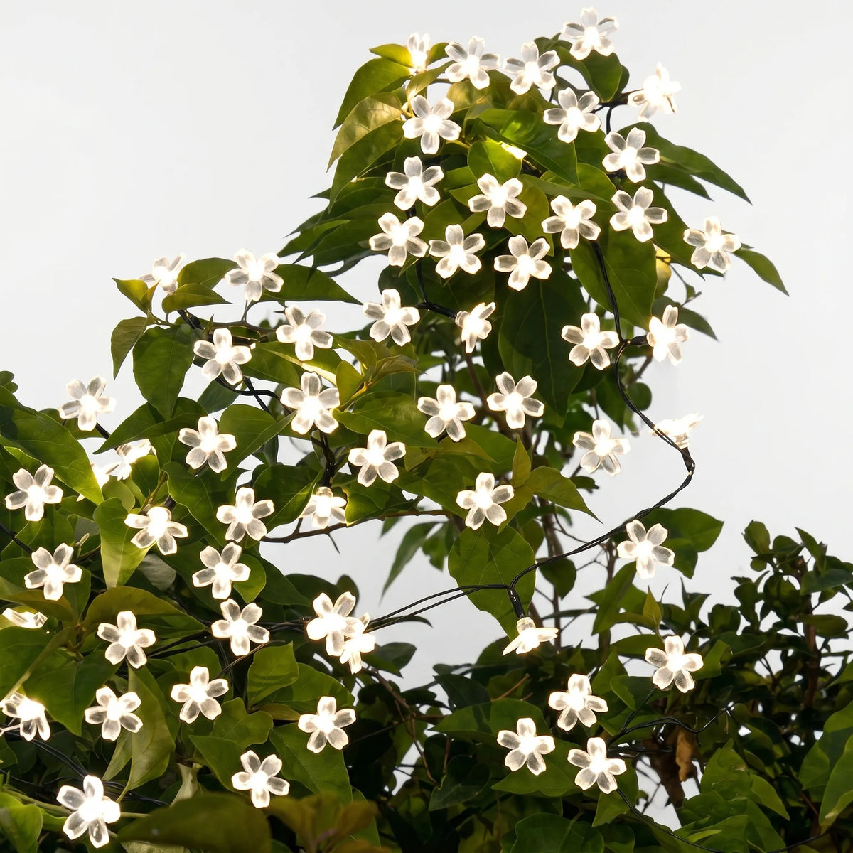 Solar-Powered Flower String Lights for Garden Decoration