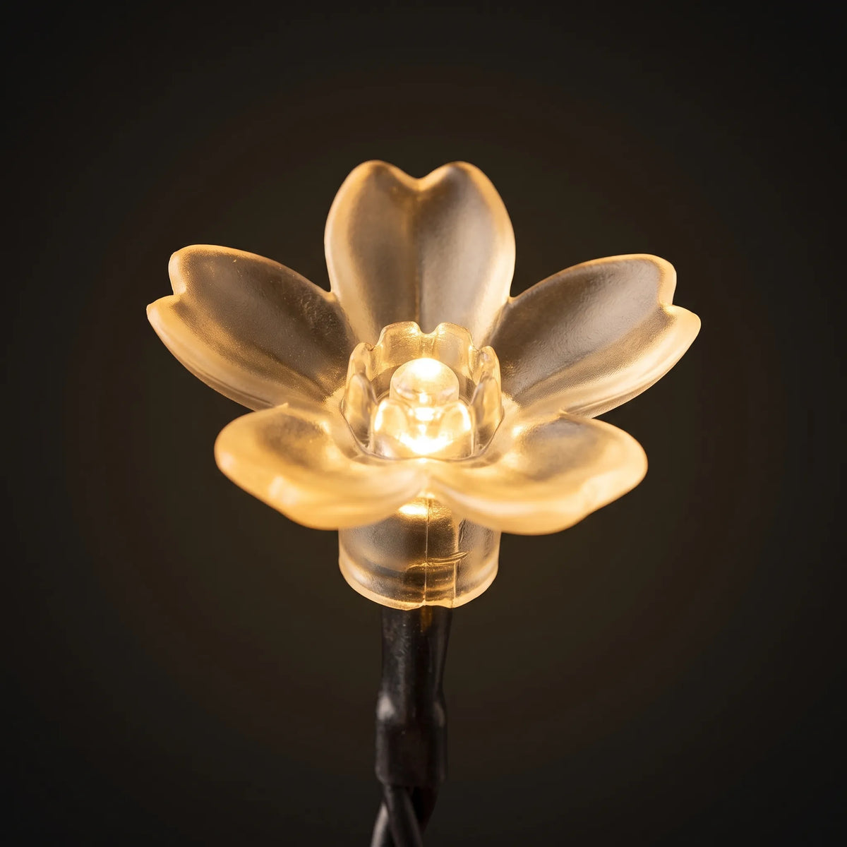 Solar-Powered Flower String Lights for Garden Decoration