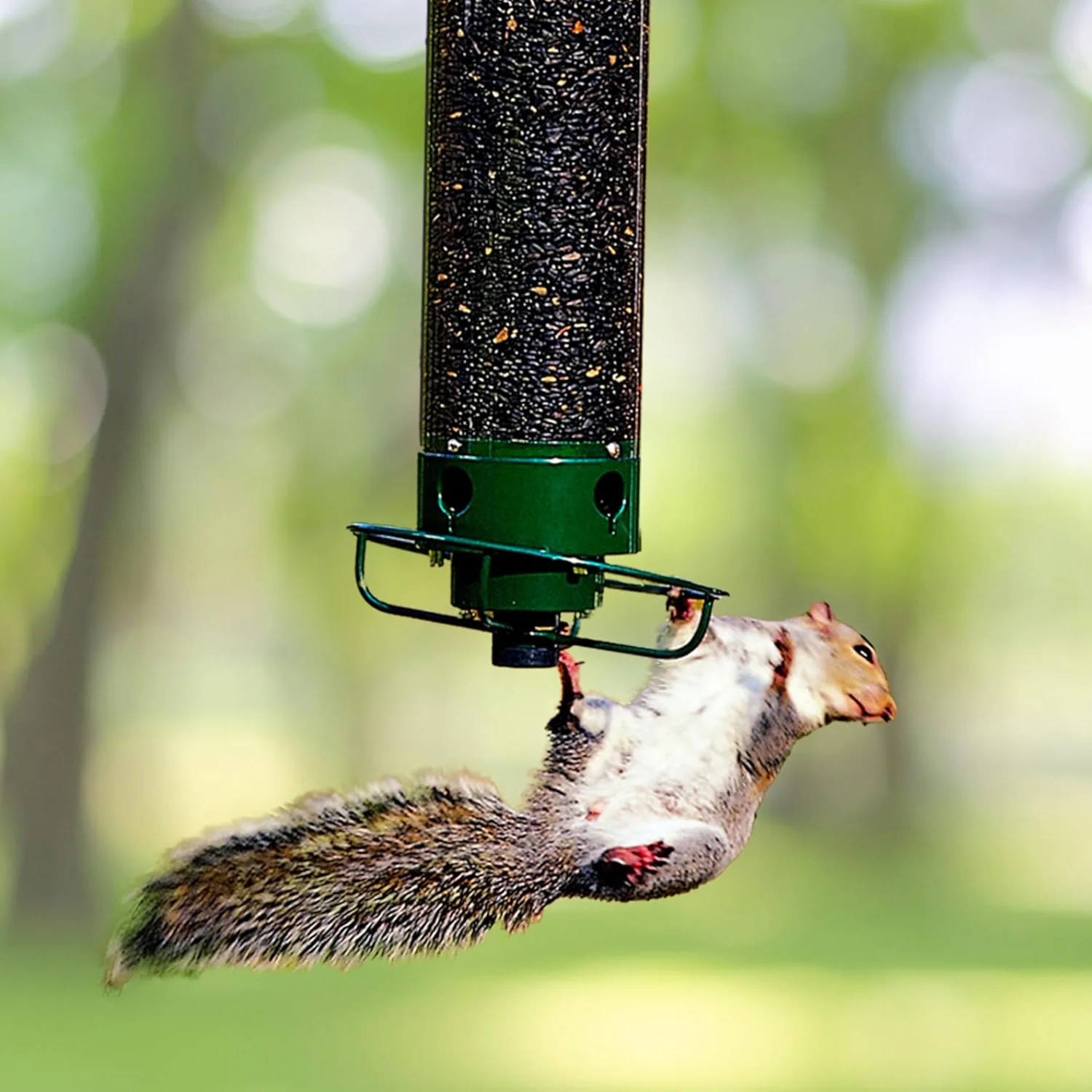 Drehbarer, eichhörnchenresistenter Gartenfutterspender mit mehreren Futteröffnungen