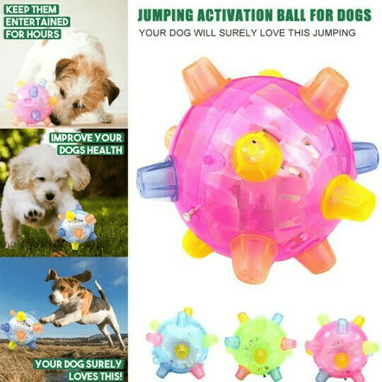 Lumosphere | Interaktiver LED-Springball für Hunde