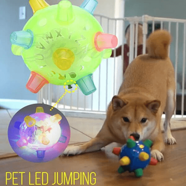 Lumosphere | Interaktiver LED-Springball für Hunde