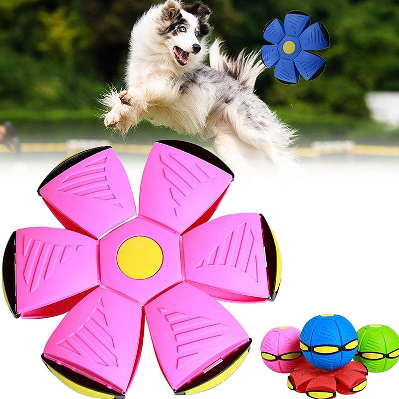 Fliegende Spaßkugel für Haustiere – 2 für 1 Angebot!