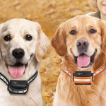 Funkhalsband für Hunde mit einer Reichweite von 1000 m - Entspanntes Spazierengehen