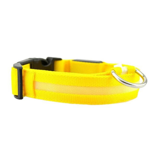 LED-Halsband für Haustiere – Sicherheit und Sichtbarkeit mit GlowPets