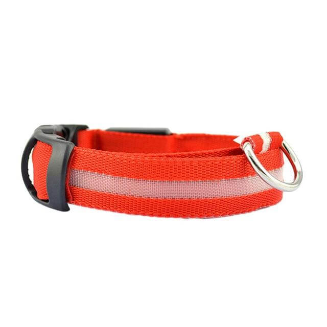 LED-Halsband für Haustiere – Sicherheit und Sichtbarkeit mit GlowPets