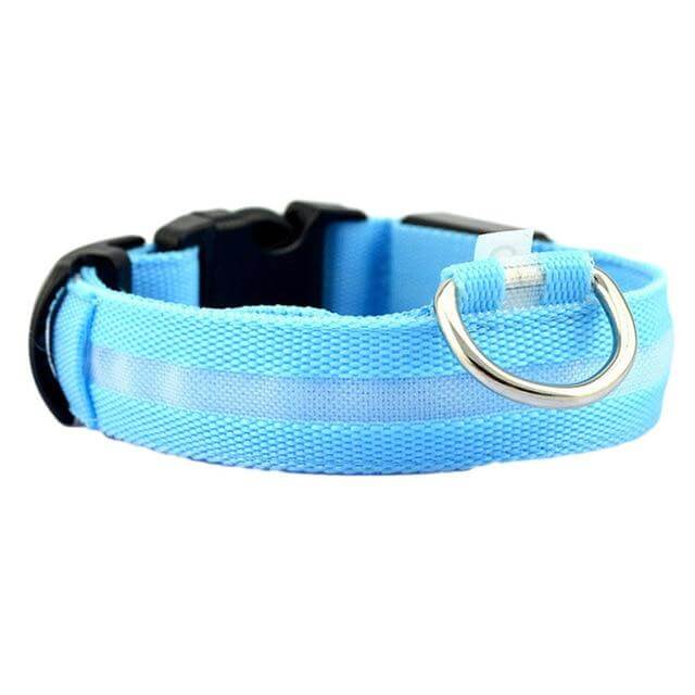 LED-Halsband für Haustiere – Sicherheit und Sichtbarkeit mit GlowPets