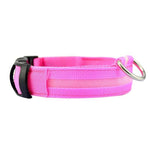 LED-Halsband für Haustiere – Sicherheit und Sichtbarkeit mit GlowPets