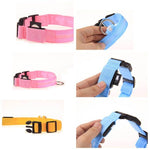 LED-Halsband für Haustiere – Sicherheit und Sichtbarkeit mit GlowPets