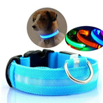 LED-Halsband für Haustiere – Sicherheit und Sichtbarkeit mit GlowPets