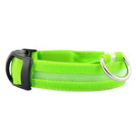 LED-Halsband für Haustiere – Sicherheit und Sichtbarkeit mit GlowPets