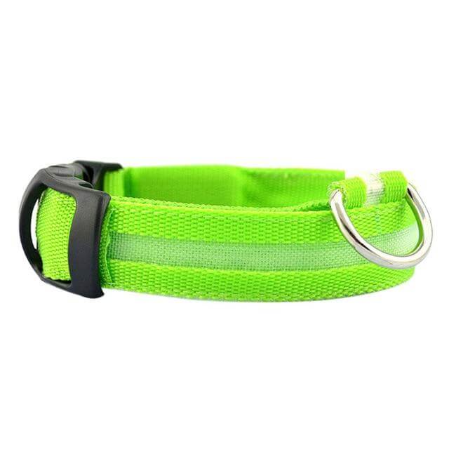LED-Halsband für Haustiere – Sicherheit und Sichtbarkeit mit GlowPets