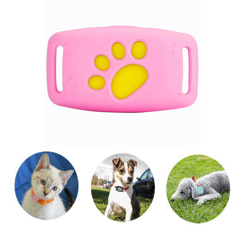 GPS-Halsband für Katzen – Wasserdicht und ohne Abonnement