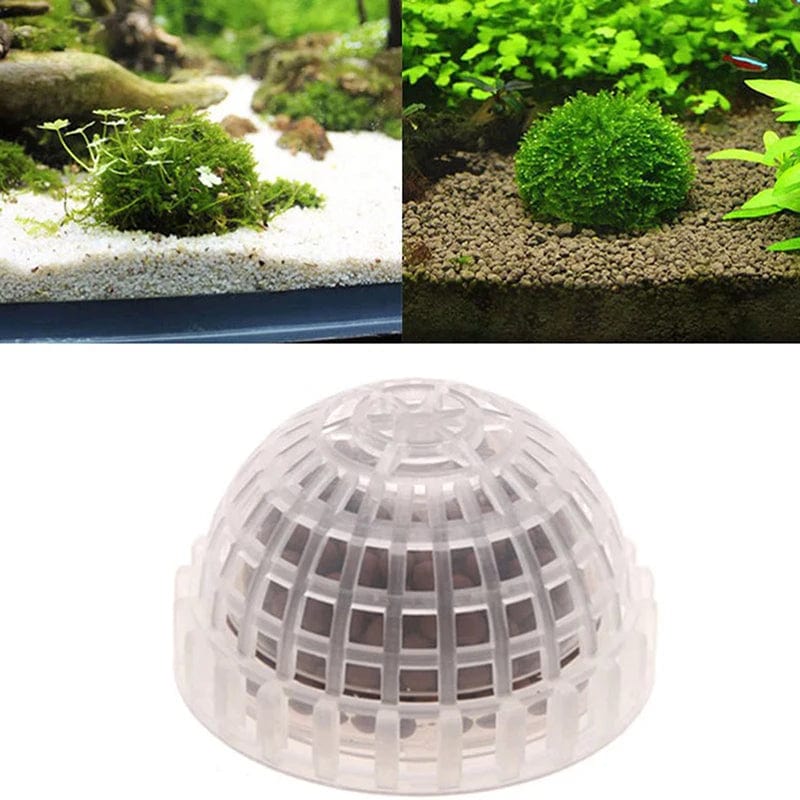 1 Stück Aquarienpflanzen Dekoration - Mooskugel für Garnelen und Fische