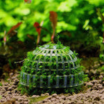 1 Stück Aquarienpflanzen Dekoration - Mooskugel für Garnelen und Fische