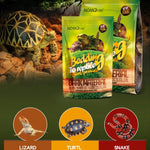 Hochwertige Kiefernrinden-Bettung für Reptilien – 250g/650g