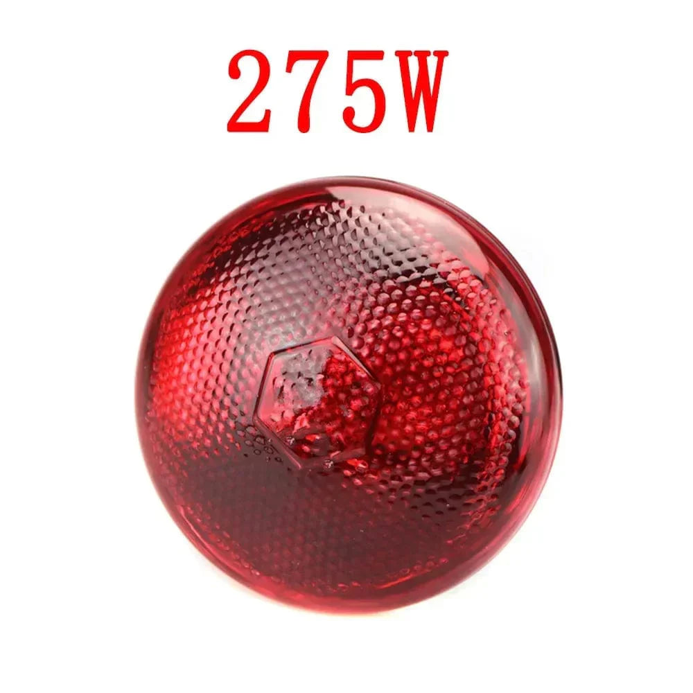 220V Infrarot Wärmelampe für Reptilien, Pflanzen, Amphibien und Haustiere - 100/150/200/275W