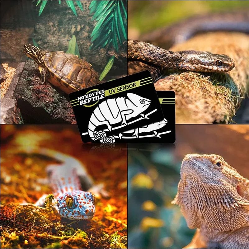 2 Stück fluoreszierende Farbwechsel-Testkarten für Reptilienbeleuchtung UVA UVB