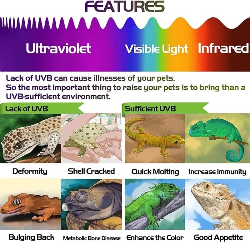 2 Stück fluoreszierende Farbwechsel-Testkarten für Reptilienbeleuchtung UVA UVB