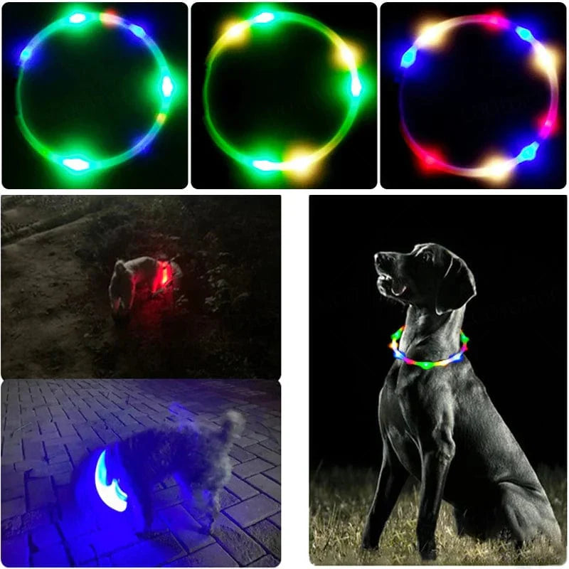 Hundehalsband mit buntem Silikon und LED – abnehmbar, leuchtend, USB aufladbar