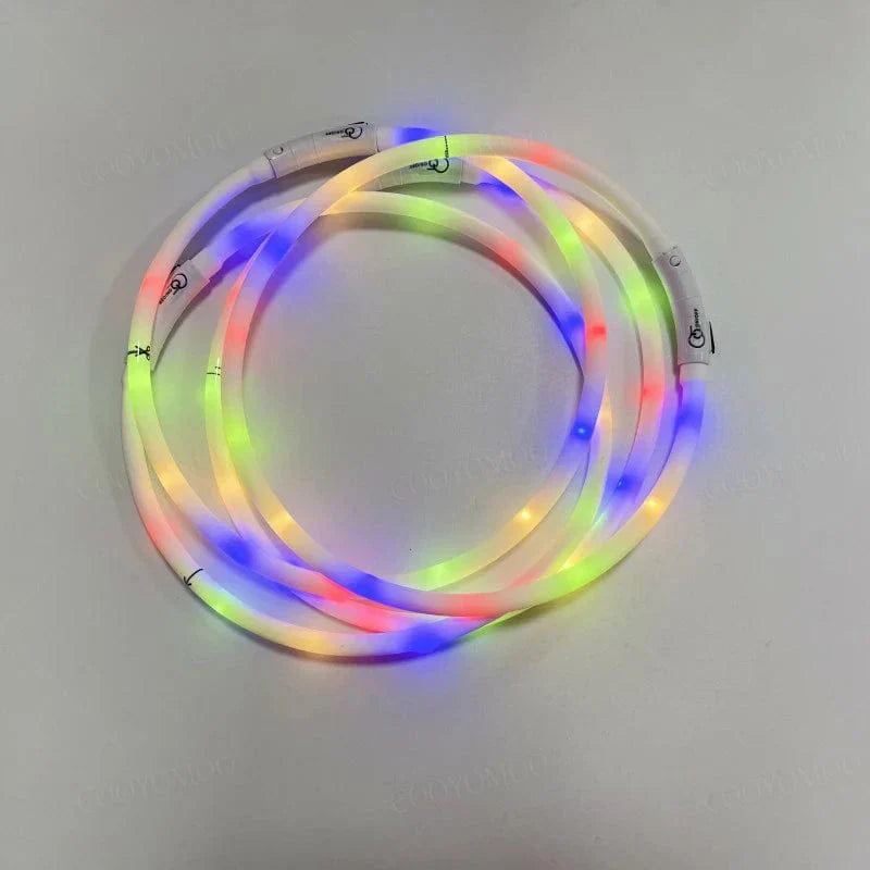 Hundehalsband mit buntem Silikon und LED – abnehmbar, leuchtend, USB aufladbar