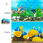 3D Meeresmotiv für Aquarien - Wandaufkleber und Poster Zubehör