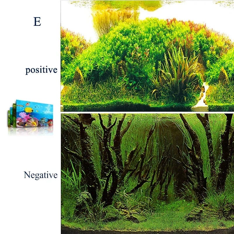 3D Meeresmotiv für Aquarien - Wandaufkleber und Poster Zubehör