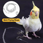 Vogelflugtrainingsleine für Papageien – ultraleichte, flexible Anti-Biss Schnur mit Beinschlaufe für Outdoor-Aktivitäten
