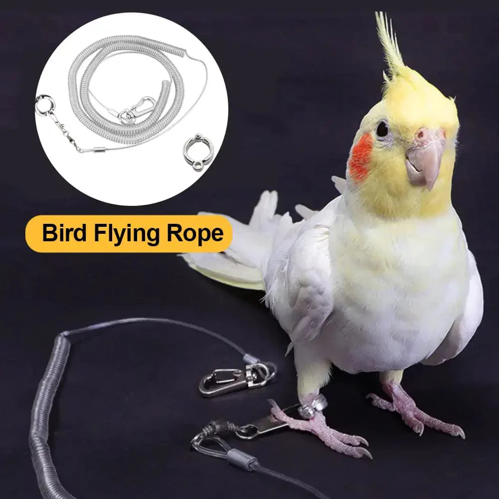 Vogelflugtrainingsleine für Papageien – ultraleichte, flexible Anti-Biss Schnur mit Beinschlaufe für Outdoor-Aktivitäten