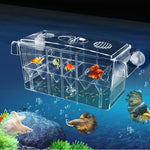 Multifunktionaler Aquarien-Inkubator mit transparentem Design
