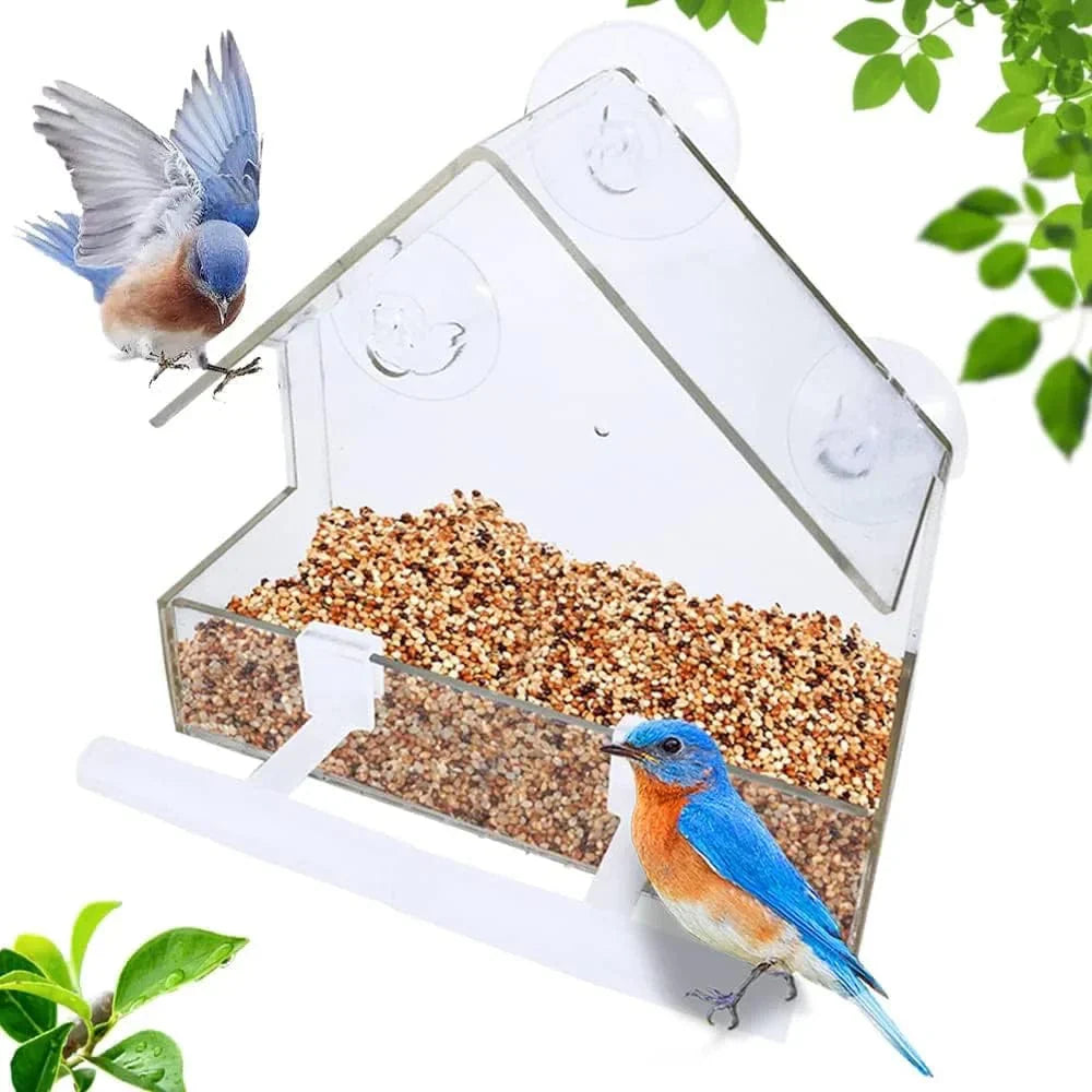 Vogelfutterhaus aus klarem Acryl mit Saugnapf – Hängendes Futtertablett