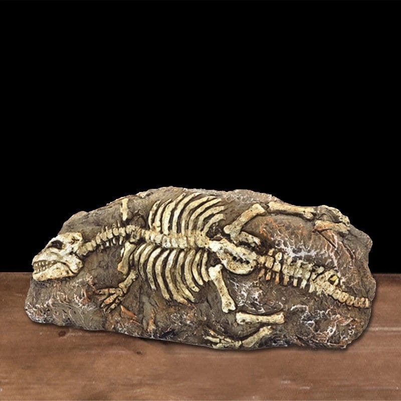 Tierschädel Fossilien Dekoration für Aquarium – Dino, Nashorn, Krokodil