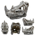 Tierschädel Fossilien Dekoration für Aquarium – Dino, Nashorn, Krokodil