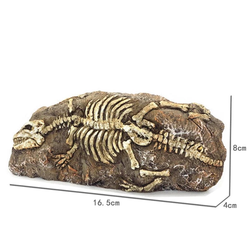 Tierschädel Fossilien Dekoration für Aquarium – Dino, Nashorn, Krokodil