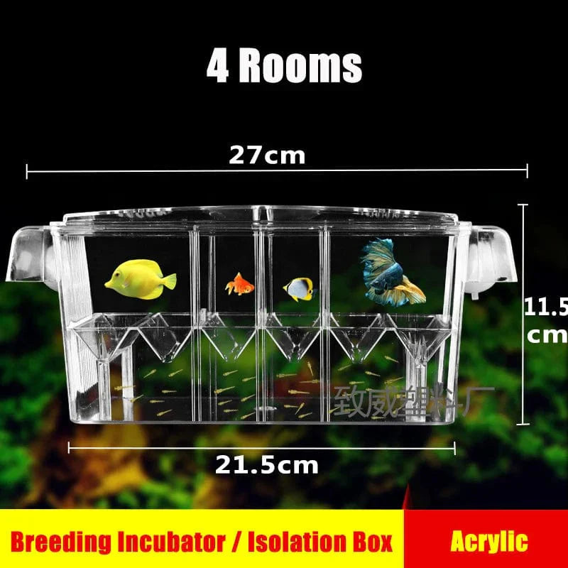 Multifunktionaler Aquarien-Inkubator mit transparentem Design
