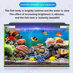 LED-Aquariumlampe mit breitem Winkel für lebendige Unterwasserwelt