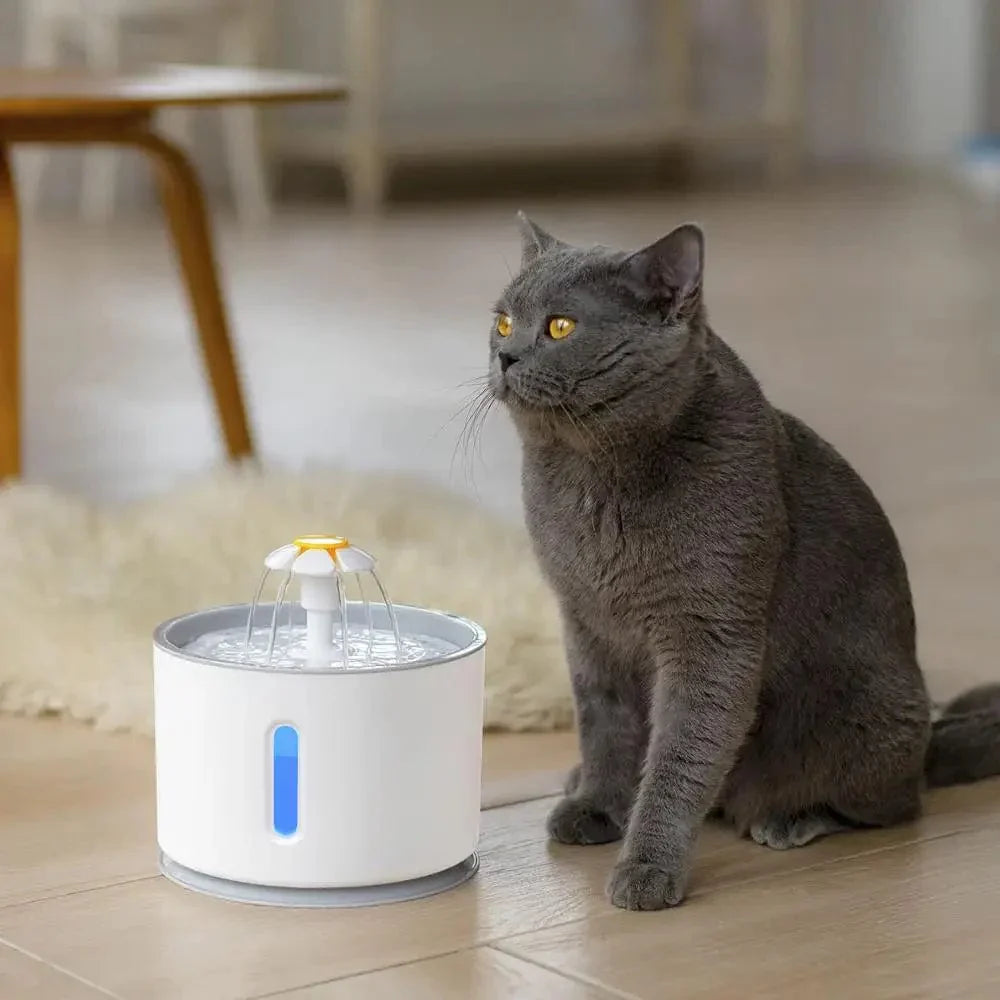 Automatischer Katzenbrunnen mit LED-Beleuchtung und 5 Ersatzfiltern, 2,4L, USB, geräuschlos, Trinkschale für Hunde und Katzen