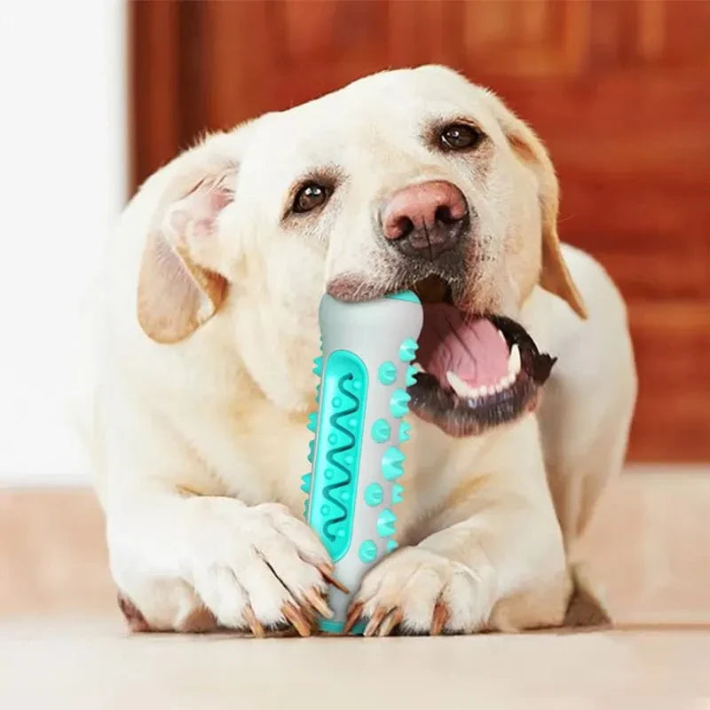 Kaustikspielzeug für Hunde – Zahnpflege Kauknochen für Welpen aus TPR