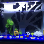 Fisch Tank Dekoration Figuren Ornamenten – Resin Ananas Haus Zubehör