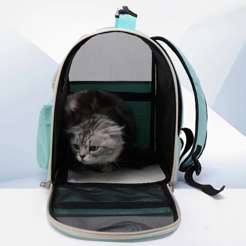 Transporttasche für Katzen und kleine Hunde – Winddichter Rucksack mit Polsterung