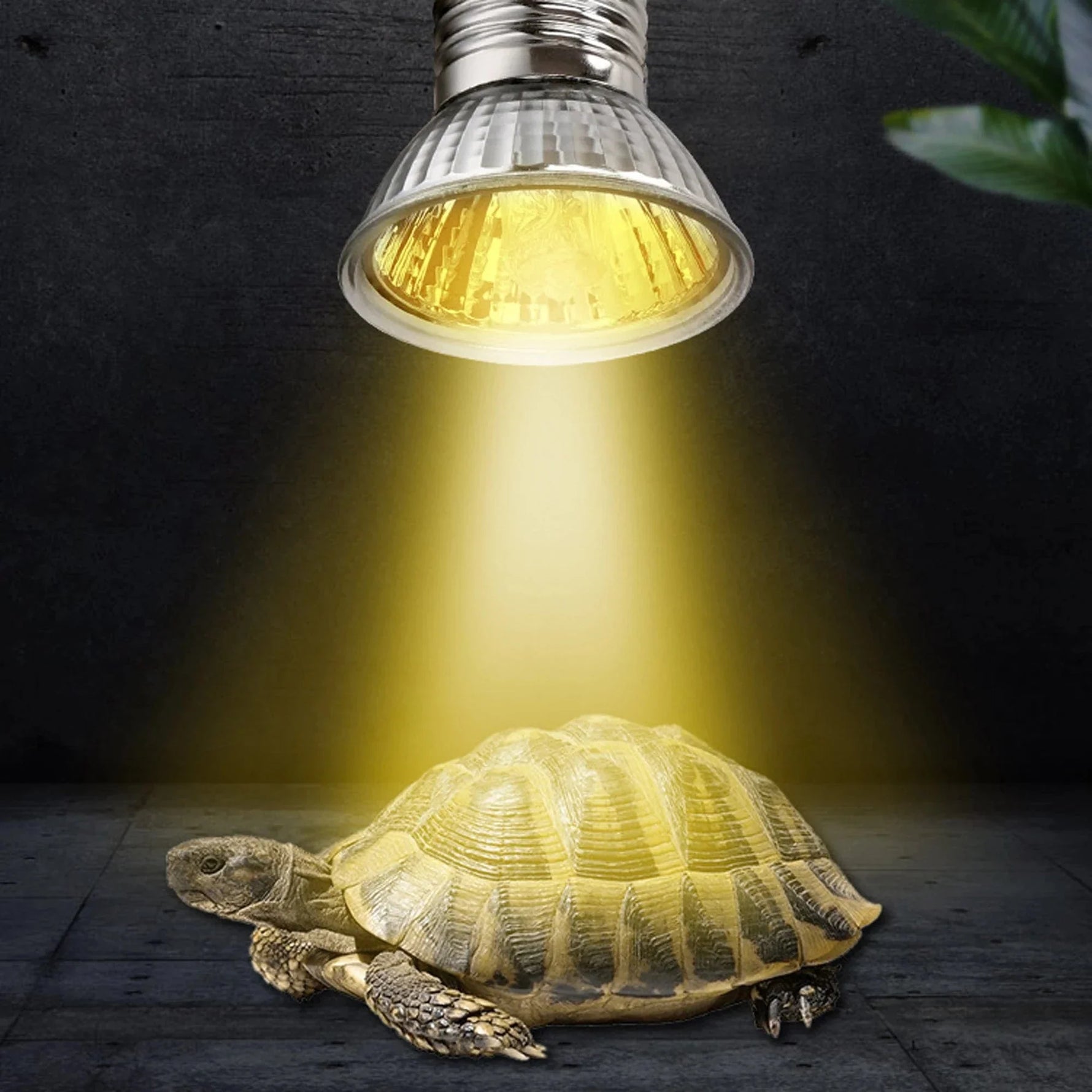Reptilienlampe mit UVA+UVB 3.0 - Heizlampe für Schildkröten und Echsen