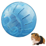 Kompakter Hamsterball für aktives Spielen – Sicher und bunt