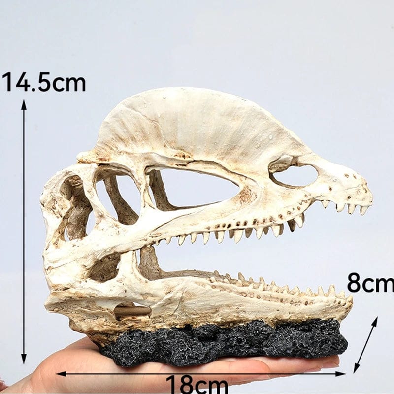 Tierschädel Fossilien Dekoration für Aquarium – Dino, Nashorn, Krokodil
