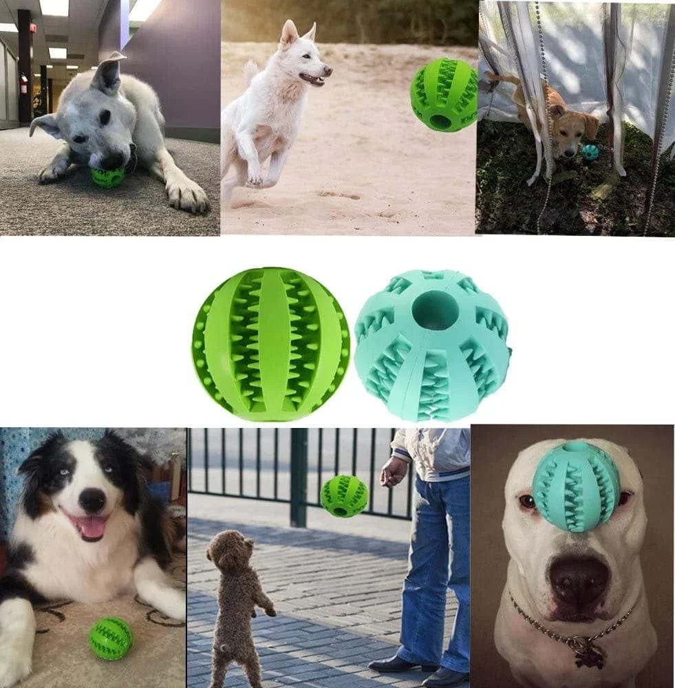 Interaktive Gummikugel für Hunde - Spielzeug zur Zahnreinigung für kleine und große Hunde sowie Katzen